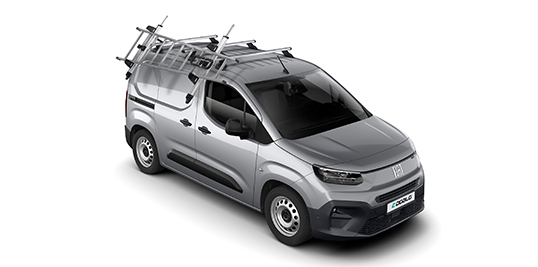 Galerie de toit et échelle Fiat Professional